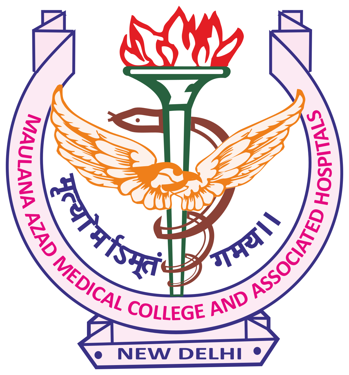 Maulana Azad Medical College, New Delhi